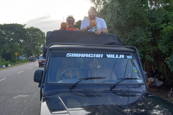 Private Jeep Safari at Minneriya National Park to Visit Elephants - Morning or afternoon: choose the right safari