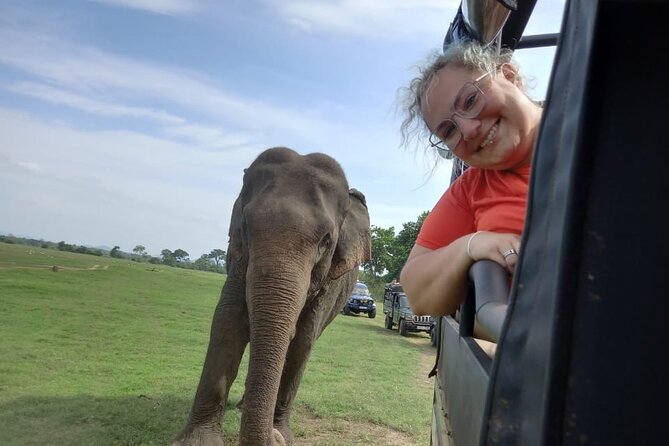 Private Jeep Safari at Minneriya National Park to Visit Elephants - The real cost: $36 plus park admission