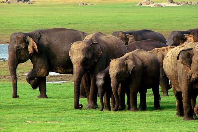 Private Jeep Safari To one of a Best National Park - Timing, duration, and the shape of your day