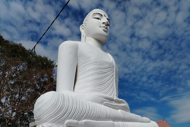 Private Kandy City Tour: Temple of the Tooth & Lake Highlights - Starting the day with a private guide
