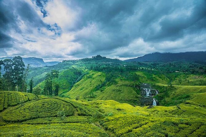 Private Multi-Day Outdoor Tour in Sri Lanka - South-coast plans: whales, Galle, and the sea
