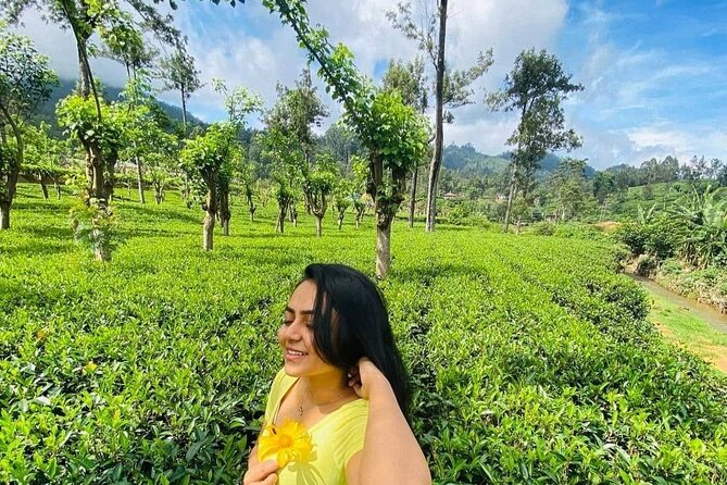 Private Ravana Falls and Nine Arches Bridge Ella Tour from Galle - What $123 gets you, and what it does not