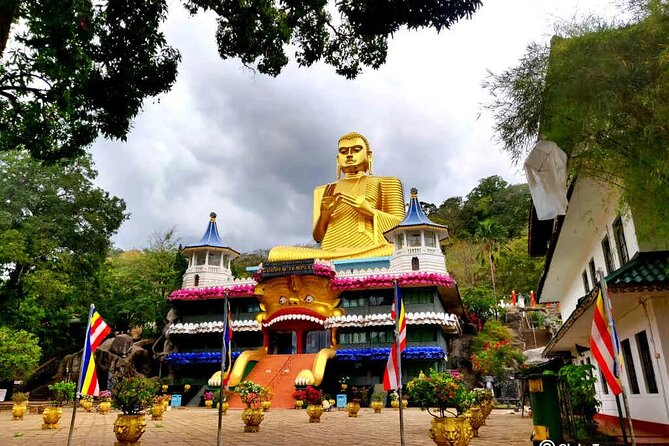 Private Sigiriya Day Tour and Authentic Sri Lankan Lunch Buffet - What the guide and vehicle add