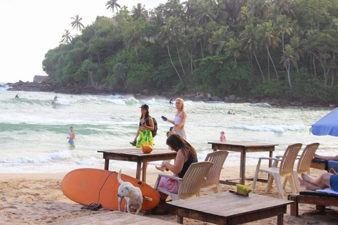Private Tour Experiences Across Sri Lanka - What the private guide adds