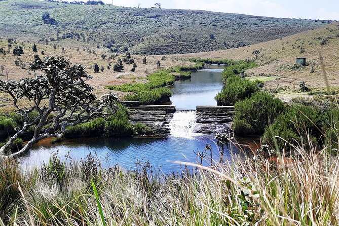 Private Tour in Horton Plains National Park ( World's End) with Pickup - Why Horton Plains is worth the early alarm