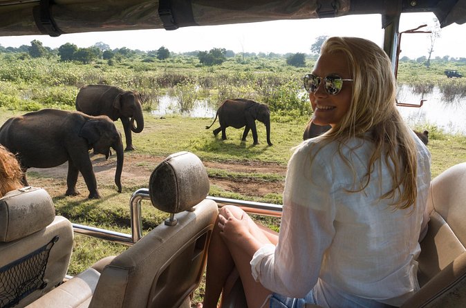 Private Tour: Udawalawe National Park Safari - The rough roads and the pace of the day