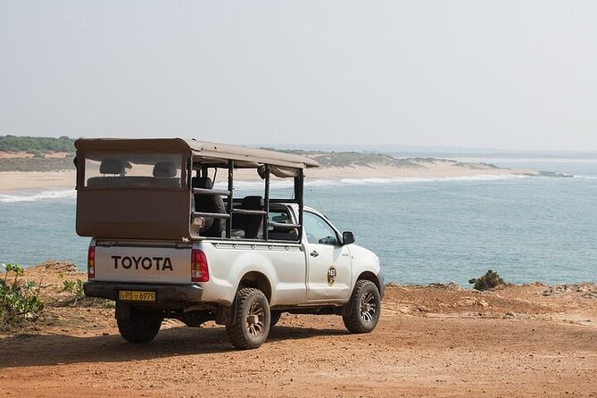 Private Tour : Udawalawe National Park Safari - Morning or afternoon: choosing the better slot