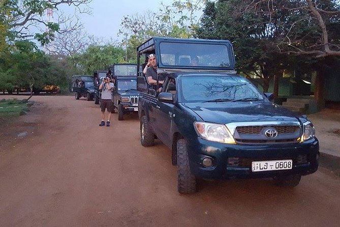 Private Tour : YALA National Park with Experienced Driver and Guide - Why a private Yala safari makes sense