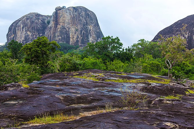 Private Tour : YALA National Park with Experienced Driver/Guide - What the driver-guide can and cannot control