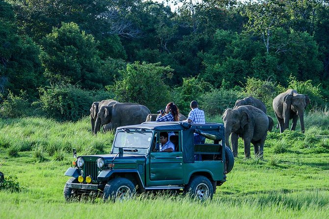 Private Trip to Sigiriya, Dambulla & safari from Colombo/ Negombo - The private car is the day’s practical advantage