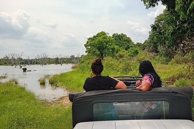 Private Wilpatu National Park Leopard safari from Colombo/Negambo - Who should book this Wilpattu safari