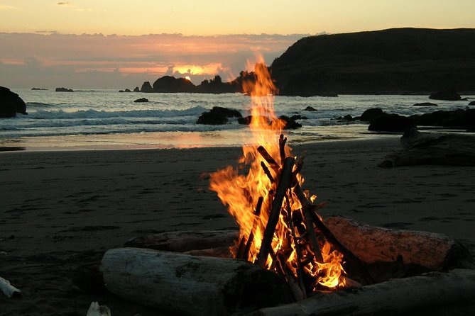 Private Yala Safari Day Trip & Exclusive Beach BBQ Dinner - Yala after lunch, when the park takes over