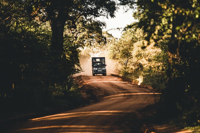 Private Yala Safari Day Trip & Exclusive Beach BBQ Dinner - A four-course BBQ by the fire