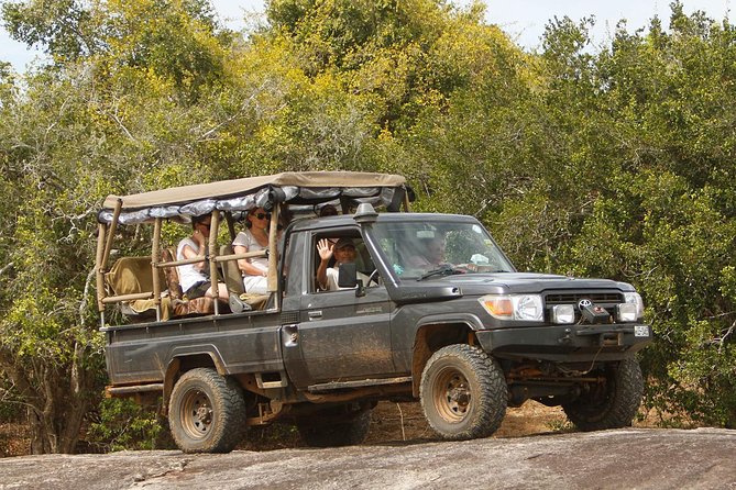 Private Yala Safari Day Trip & Exclusive Beach BBQ Dinner - From safari dust to Palatupana beach