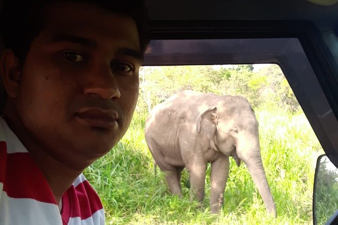 Rangiri Jeep Safari Sigiriya Lion Rock & Evening Jeep Safari - Morning or afternoon: choosing your half-day window