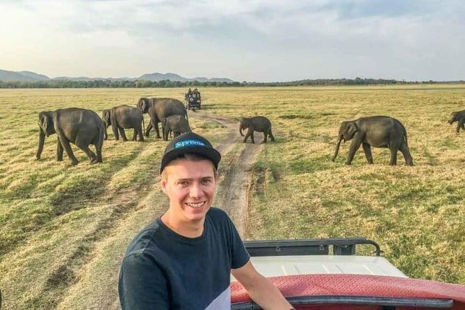 Safari Adventure in Minneriya national Park Sri Lanka - Respectful elephant watching matters