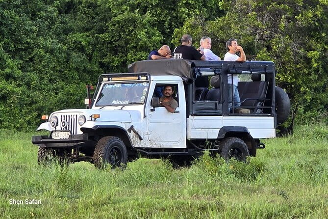 Safari Adventure in Minneriya national Park Sri Lanka - A 6:00 am start from your hotel