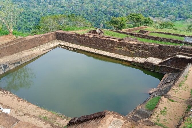 Safari Day Tour to Sigiriya Lion Rock and Golden Cave Temple - The transport and group setup