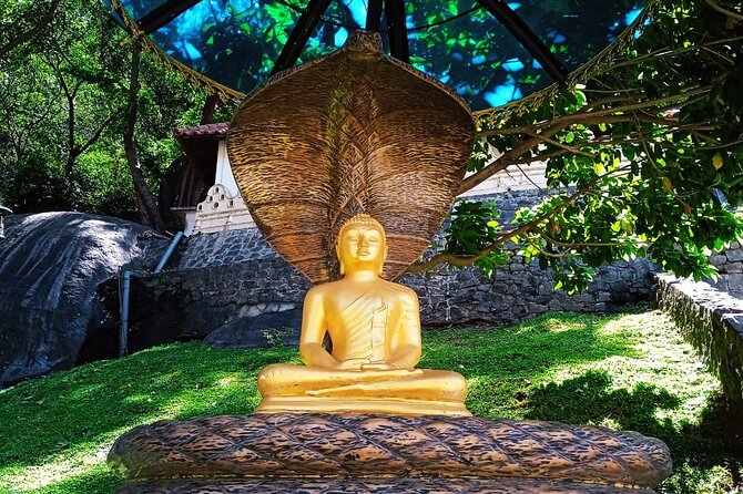 Safari Day Tour to Sigiriya Lion Rock and Golden Cave Temple - The optional village tour and safari