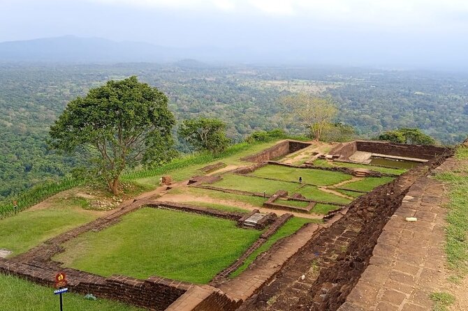 Safari Day Tour to Sigiriya Lion Rock and Golden Cave Temple - Who should choose this experience