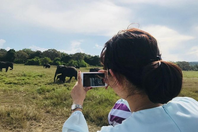 Safari Tour at Minneriya National Park - Why Minneriya is famous for elephants