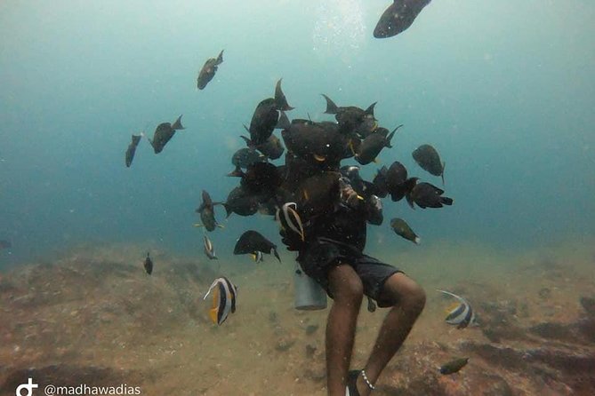 Scuba Diving at Unawatuna - Choosing from reefs, wrecks, and 15-plus sites