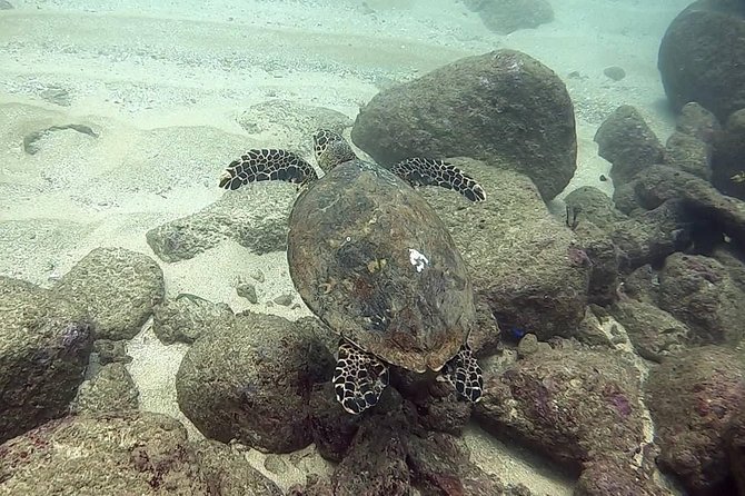 Scuba Diving at Unawatuna - Equipment, instructors, and safety support