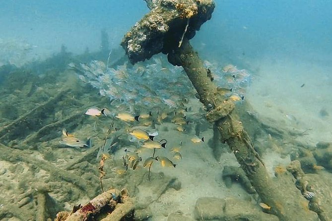 Scuba Diving at Unawatuna - What the four-hour schedule really includes