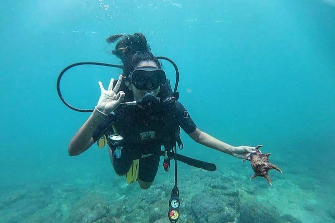 Scuba Diving at Unawatuna - The theory lesson and shallow-water practice