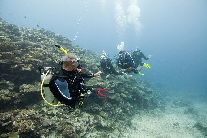 Scuba Diving For Beginners - From confined water to the open sea