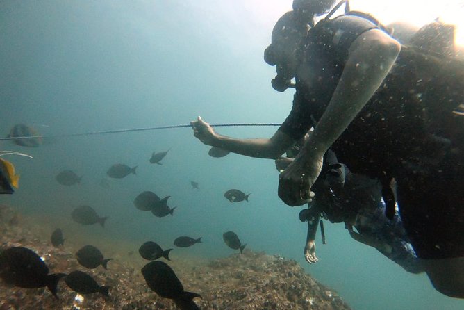 Scuba Diving in Mirissa - The role of the instructor and team
