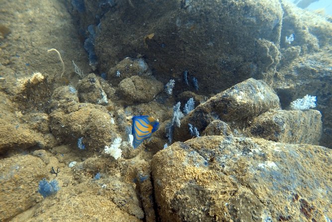 Scuba Diving in Mirissa - Weather can shape the whole morning