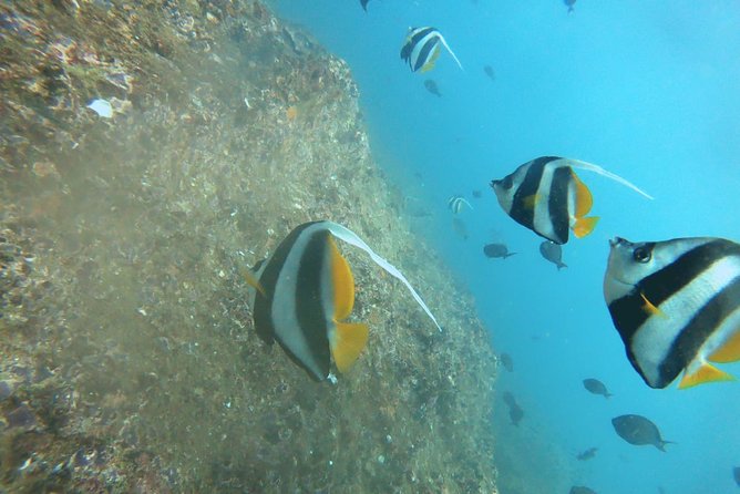 Scuba Diving in Mirissa - Getting prepared with an instructor