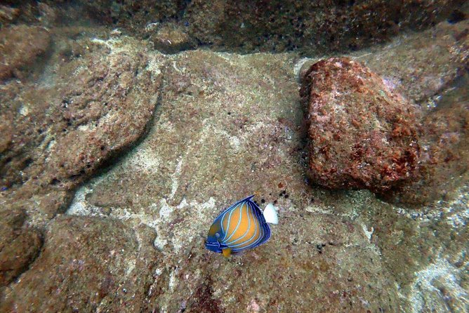 Scuba Diving in Unawatuna - A short itinerary with a clear focus