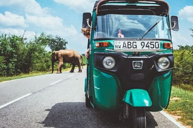 Sigiriya and Dambulla Day Tour from Kandy - Realistic cost and booking advice