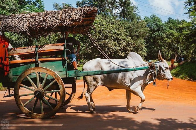Sigiriya and Dambulla Private Full-Day Guided Tour - What the $120 price really covers