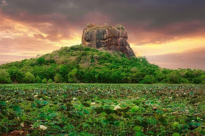 Sigiriya and Dambulla Tour (All Inclusive) - Transport is strong, but communication deserves attention