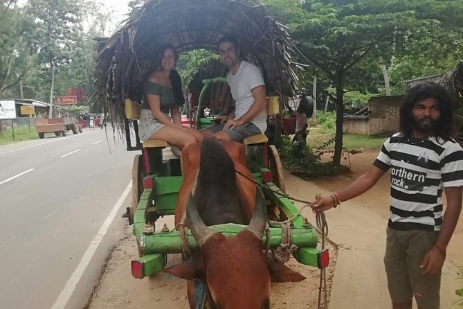 Sigiriya city tour from Negombo & Colombo with traditional Lunch. - Transport, timing, and what the price really covers