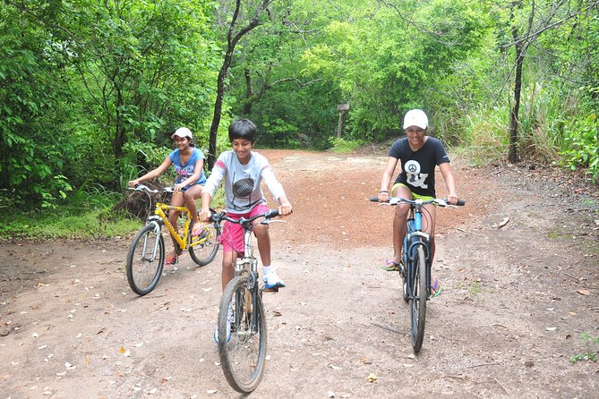 Sigiriya Cycle Tour: Explore Village Life in Sigiriya & Enjoy a Village Lunch - A responsible choice without bullock-cart rides