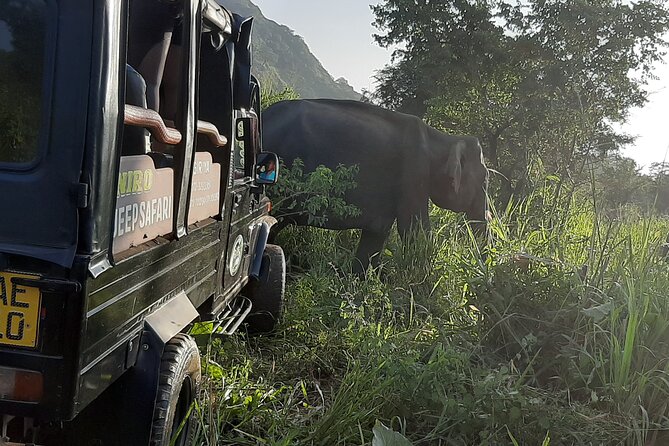 Sigiriya, Dambulla and Minneriya National Park Private Tour In - Key points at a glance