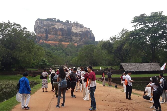 Sigiriya, Dambulla and Minneriya National Park Private Tour In - Is $50 good value?