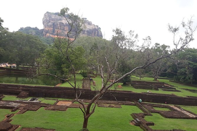 Sigiriya, Dambulla and Minneriya National Park Private Tour In - Dambulla Cave Temple, painted caves and a golden shrine