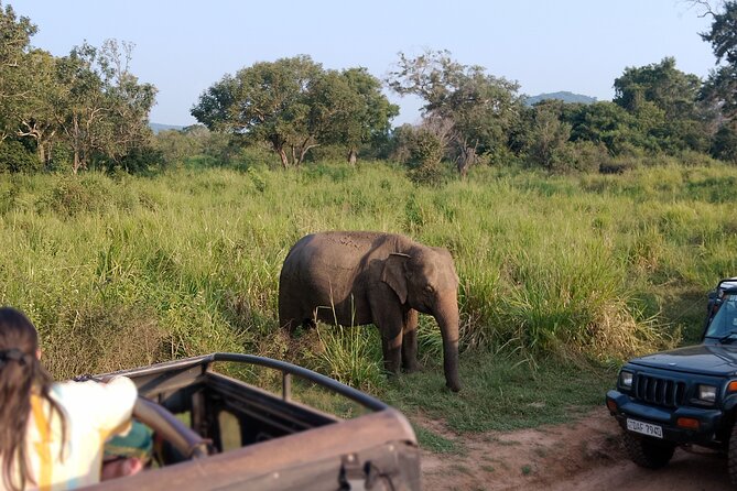 Sigiriya Dambulla Wonders Day Trip from Kandy - Who will enjoy this day trip most?