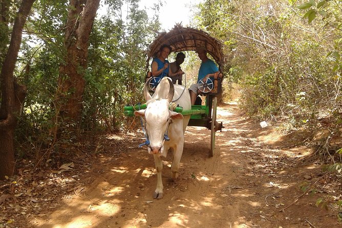 Sigiriya Day Tour - Dambulla Cave Temple - Sigiriya’s rock, frescoes, and royal ruins