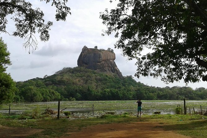 Sigiriya Day Tour - Dambulla Cave Temple - How much value do you get for $60?