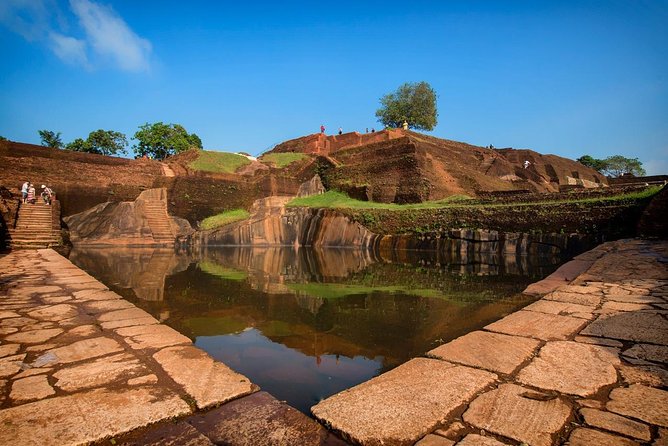 Sigiriya Day Tour from Colombo or Negombo by Private Car / Van - A short safari at Minneriya National Park