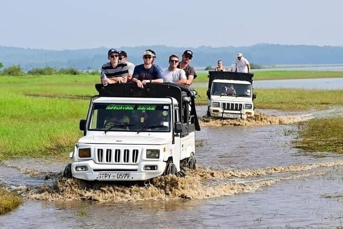 Sigiriya Hike & Minneriya Safari Private Full Day Tour - Small details that make a difference