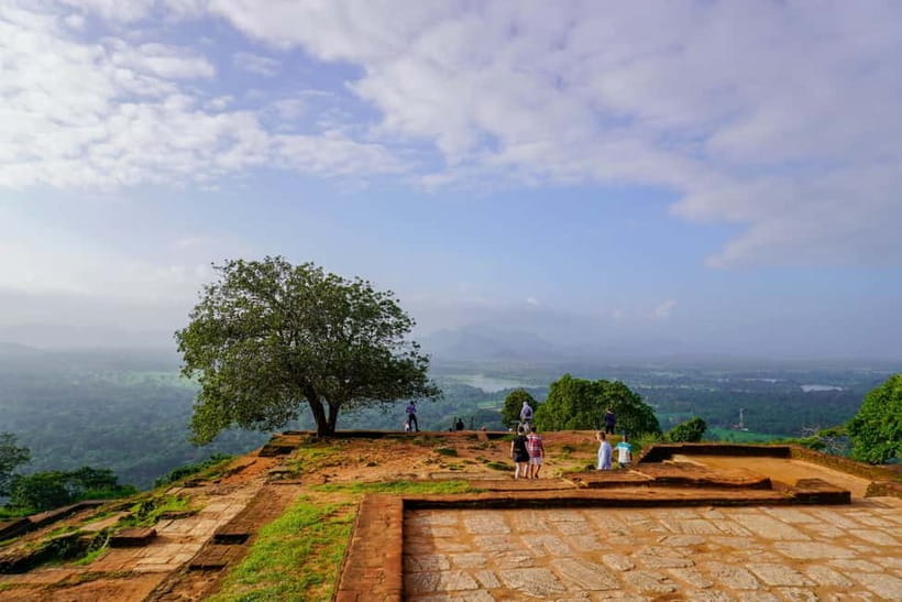 Sigiriya Lion Rock Hike & Minneriya National Park Safari - Guide quality and what to clarify