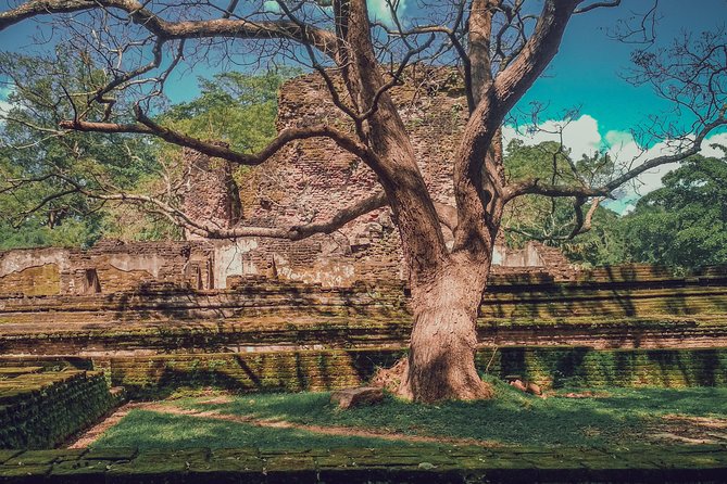Sigiriya, Polonnaruwa & Dambulla "Trilogy" Day Tour from Colombo - Dambulla’s cave temples after sunset approaches
