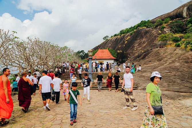 Sigiriya Rock and Dambulla Cave All Inclusive Private Day Trip - What the guide and driver role really means